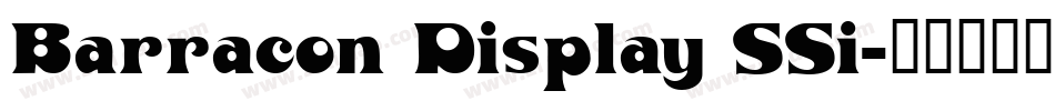 Barracon Display SSi字体转换
